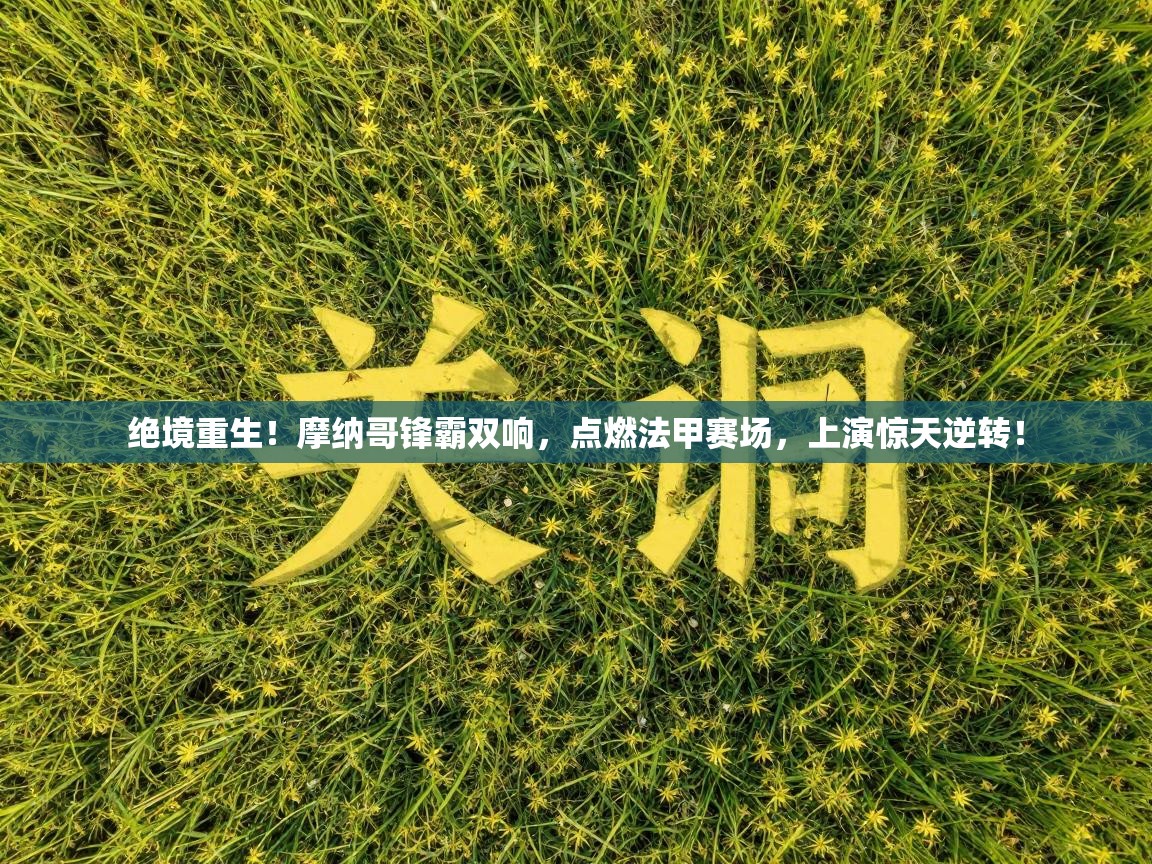 绝境重生！摩纳哥锋霸双响，点燃法甲赛场，上演惊天逆转！  第2张